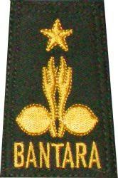 Image result for bantara