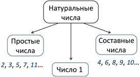 Натуральные числа a b c. Простые и составные числа. Простые и составные натуральные числа. Натуральные числа делятся на простые и составные. Натуральные числа простые и составные числа.