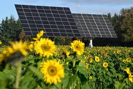 News source: Le Monde.fr