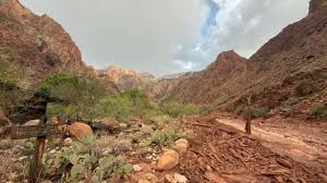 national park service grand canyon discovery