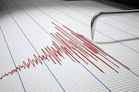 Temblor en México: los sismos reportados el viernes 14 de noviembre