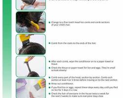 Stepbystep guide to wet combing for head lice removalの画像