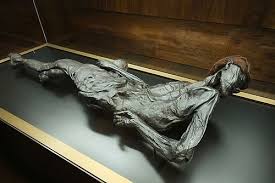 Grauballe man bog body discovery