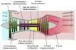 Schema turboréacteurs