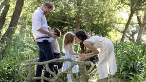 prince harry family uk visit
