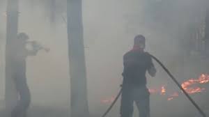 "C'est une zone à haut risque du point de vue des incendies" : peut-on encore vivre dans le Sud-Ouest — TF1 Info