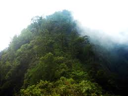 Image result for PUNCAK MEGA