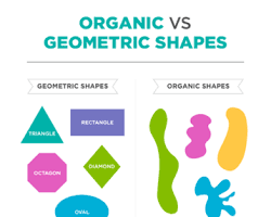 Image de geometric and organic shapes