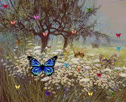 Image result for animated butterflies wallpaper