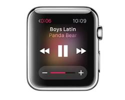 Image of Apple Watch music controls