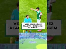 Torcida do Palmeiras faz mosaico para Gustavo Gómez; veja reação do atleta