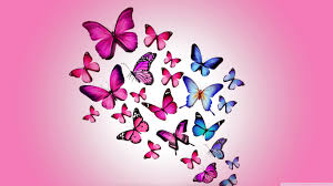 Image result for animated butterflies wallpaper