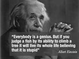 Albert Einstein Fish Quote Explained - albert einstein fish quote ... via Relatably.com