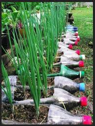 Image result for aktiviti kitar semula