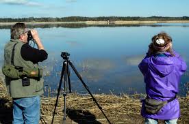 Risultati immagini per birdwatching
