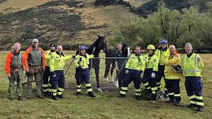 DOC Ranger Saves Horse With Angle Grinder