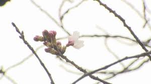 News source: Yahoo!ニュース