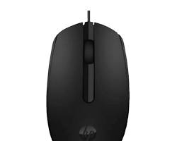 Image of Mouse