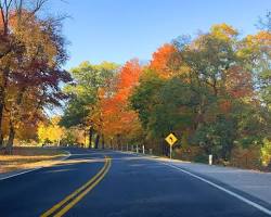 Image of Niagara Parkway in Toronto during fall