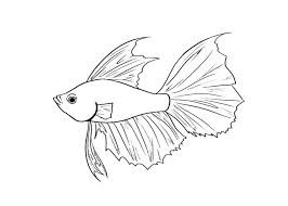 fish coloring pages ile ilgili görsel sonucu