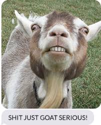 Image result for GOAT