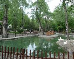 Kuğulu Park, Ankara resmi