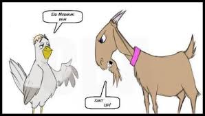 Image result for bakra eid funny images