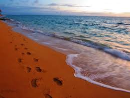 Image result for picture of foot print in the sand