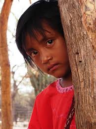 Image result for wayuu