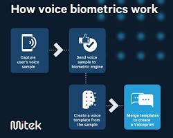 Image of Voice Recognition Biometric Modality