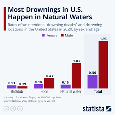 Statista - News update