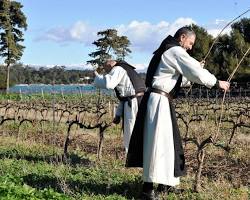 Hình ảnh về Monks of Lérins làm việc trong vườn nho