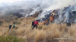 ¡Cusco Arde! Incendios Devastan el Valle Sagrado: ¿Qué Está Pasando?