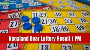 Nagaland Lottery Result Today: Dear Vision Saturday Draw on April 11 with ₹1 crore jackpot