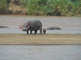 Image result for burundi