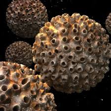 HPV