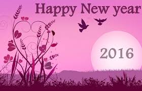 Image result for happy new year 2017 whatsapp dp