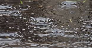 Tracking rain later today, nice weekend ahead