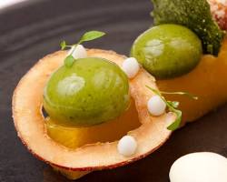 Image of Molecular gastronomy dish