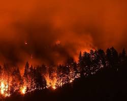 California wildfires burning through a forest