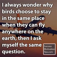 1-quote-about-bird.jpg via Relatably.com