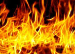 Resultado de imagen para feu