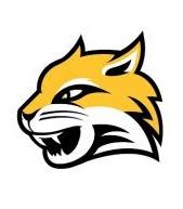 KTIC 840 AM/98.3 FM/98.7 FM - Wayne State Women lose to St. Cloud State