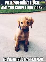 Muddy Puppy memes | quickmeme via Relatably.com