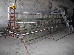 Image result for chicken cage