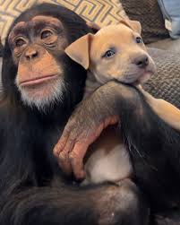 Just a normal day at the zoo! | MetDaan Makeup | Facebook