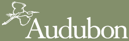 Resultado de imagen de Audubon Society