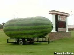 Resultado de imagen para sandia gigante