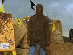 Résultat de recherche d'images pour "covered in bees"