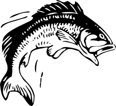 fish coloring pages ile ilgili görsel sonucu
